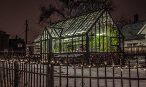 greenhouse-in-winter-2-ray-congrove
